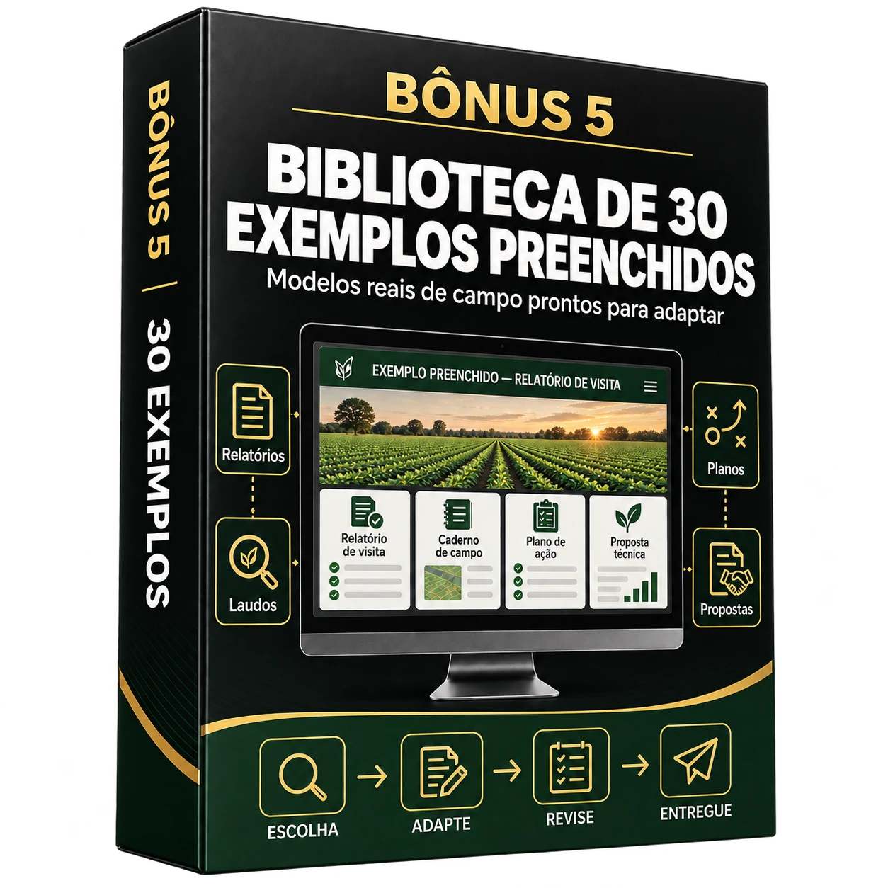 Biblioteca de 30 Exemplos Preenchidos